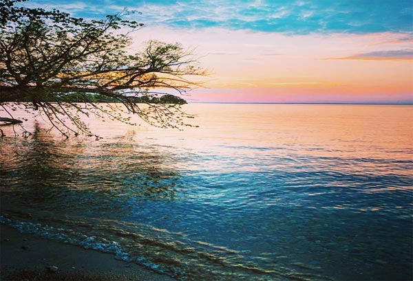 Cette image montre le rivage de la pointe de Jackson au lac Simcoe au coucher du soleil