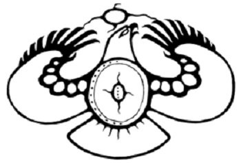 Community logo for Lac La Croix First Nation