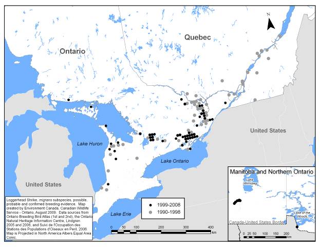 Map of the migrans subspecies' breeding range in Canada. Most current period records (i.e., 1999-2008) occur in south-central Ontario, especially along the land between Georgian Bay and where Lake Ontario meets the St. Lawrence River. Occurrences from 1990-1998 also occur along the Ottawa and St. Lawrence rivers in Ontario and Quebec. An inset map shows the region of northwestern Ontario and southeastern Manitoba where some more recent occurrences are shown.