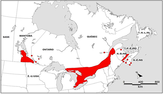 Figure 2 shows the 2010 breeding distribution of the Least Bittern in Canada.