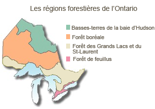 Carte des regions forestières de l’Ontario