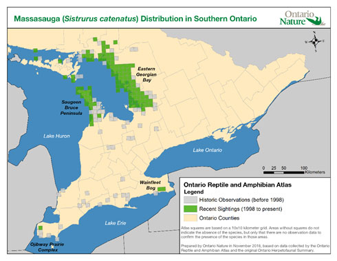 Massasauga Range and Distribution in Ontario by Regional Population in Ontario (courtesy of the Ontario Reptile and Amphibian Atlas Project)