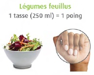 Légumes feuillus : 1 tasse (250 ml) = 1 poing