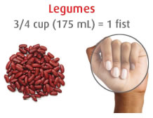 Legumes: 3/4 cup (175 mL) = 1 fist