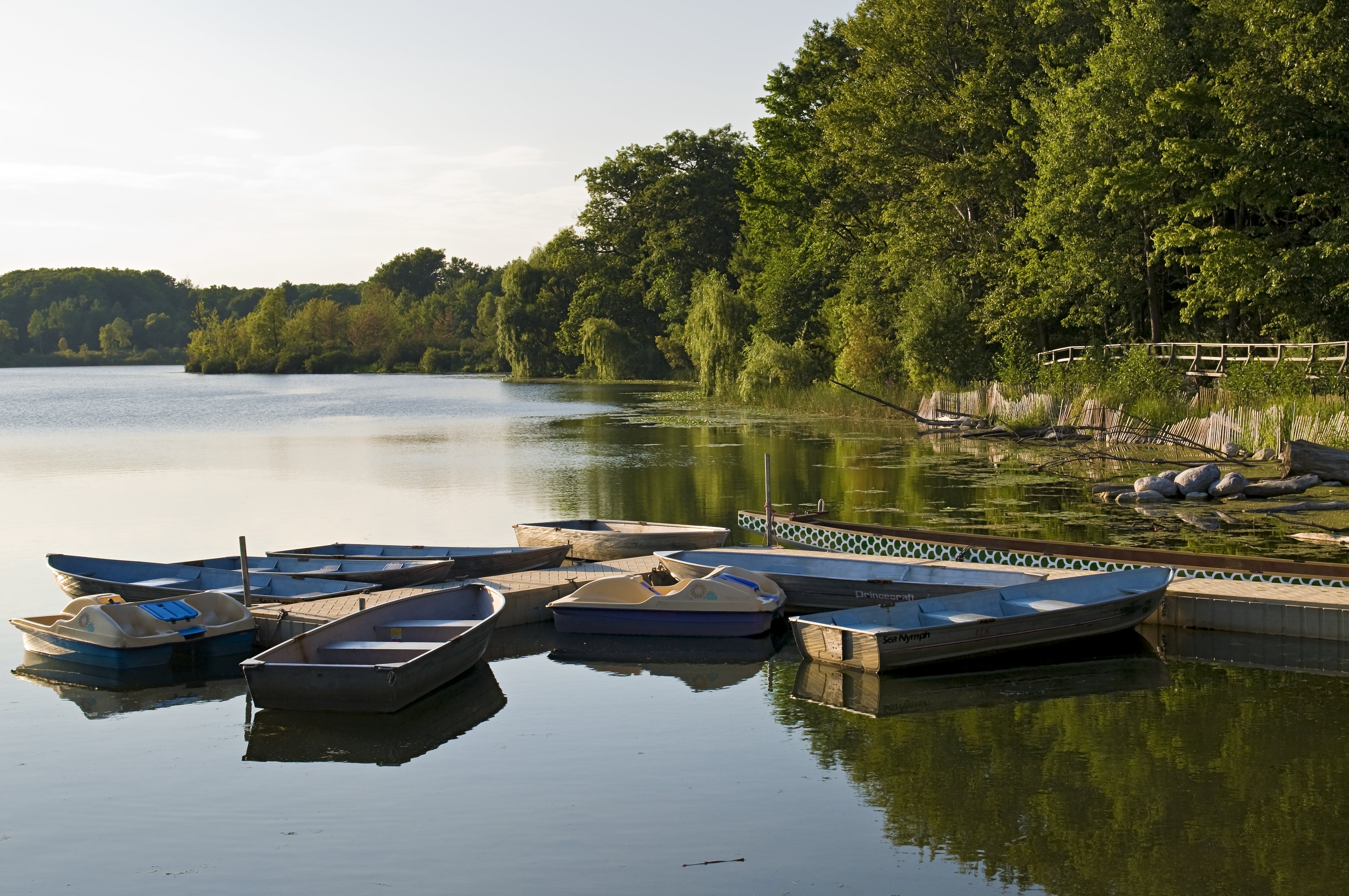 Des bateaux à rames amarrés dans un lac, entourés d’arbres