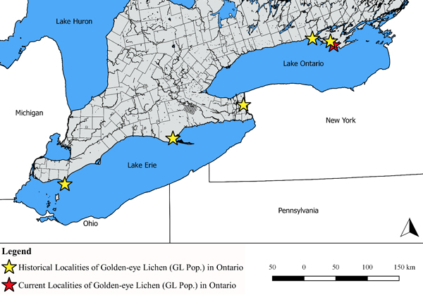 Map showing the historical and current localities of Golden-eye Lichen (Great Lakes population) in Ontario. See table 1