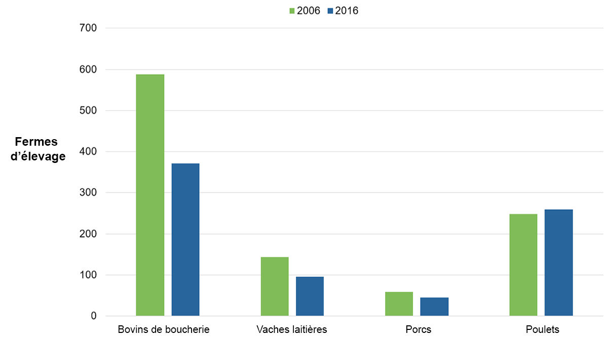 Ce graphique en barres montre le nombre d’exploitations agricoles dans le bassin hydrographique du lac Simcoe effectuant l’élevage divers types de bétail, en 2006 et en 2016. Les données qu’il contient ont été calculées pour le bassin hydrographique du lac Simcoe, à partir des rapports de recensements de l’agriculture de Statistique Canada. Le nombre d’exploitations agricoles élevant des bovins de boucherie a diminué et est passé de 585 exploitations agricoles déclarées en 2006 à 372 en 2016. Le nombre d’exploitations agricoles élevant des vaches laitières a diminué et est passé de 134 en 2006 à 96 en 2016. Le nombre d’exploitations agricoles faisant l’élevage du porc a aussi diminué, passant de 48 en 2006 à 35 en 2016. Enfin, le nombre d’exploitations agricoles faisant l’élevage de poulets a légèrement augmenté, passant de 242 en 2006 à 253 en 2016.