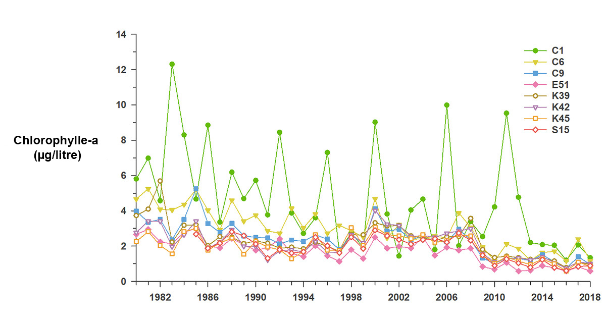 Ce graphique montre les changements dans la moyenne des concentrations annuelles totales de chlorophylle-a (en microgrammes par litre) de mai à octobre pour les années 1980 à 2018 chacune des huit stations de surveillance du lac. Au cours de cette période, les niveaux de chlorophylle-a totaux ont diminué considérablement dans l’ensemble, pour toutes les stations de surveillance du lac.
