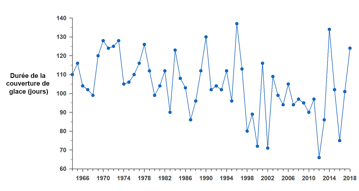 Ce graphique montre les changements dans la durée de la couverture de glace (en jour) de 1964 à 2018 sur le lac Simcoe. Au cours de cette période, le nombre de jours avec couverture de glace sur le lac Simcoe a diminué considérablement dans l’ensemble. 