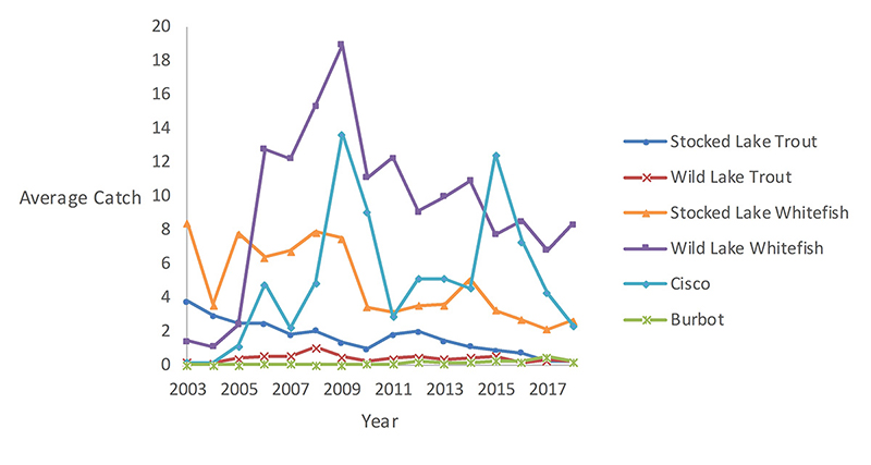 Line graph of the average catch per net of cold-water fish species (stocked and wild lake trout, stocked and wild lake whitefish, cisco and burbot) by year. Trends vary by species.