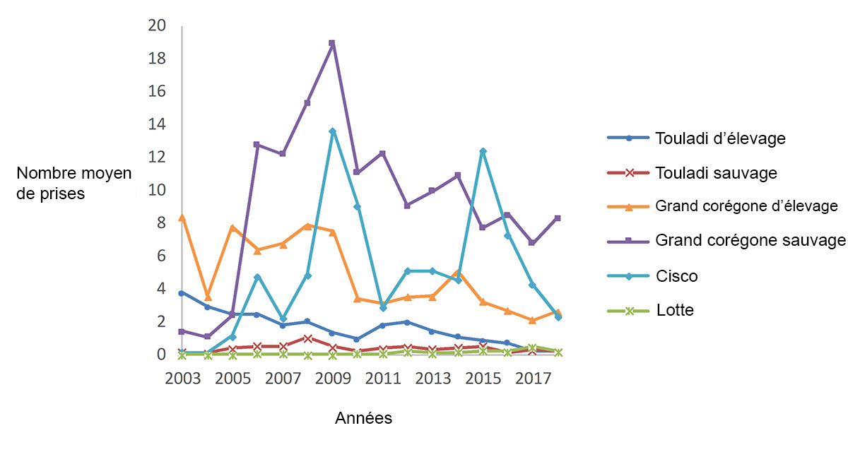 Ce graphique linéaire présente le nombre moyen de prises par filet-piège d’espèces de poissons d’eau froide (touladi sauvage et d’élevage, grand corégone sauvage et d’élevage, cisco et lotte) par année. Les tendances varient selon les espèces.