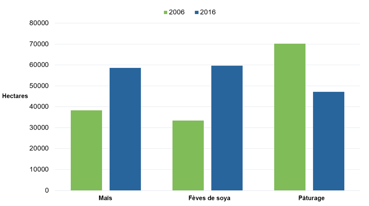Ce graphique en barres montre le nombre total d’hectares consacré à la culture du maïs, du soya et du pâturage en 2006 et en 2016, calculé pour le bassin hydrographique du lac Simcoe, à partir des rapports de recensements de l’agriculture de Statistique Canada. Ces données montrent une augmentation du nombre d’hectares de maïs et de soja cultivés, mais une diminution du nombre d’hectares consacré au pâturage. Le nombre d’hectares de maïs a augmenté pour passer de 38 628 en 2006 à 58 375 en 2016. Le nombre d’hectares de soya a augmenté pour passer de 33 245 en 2006 à 59 842 en 2016. Le nombre d’hectares de pâturage a diminué pour passer de 70 176 en 2006 à 47 683 en 2016.