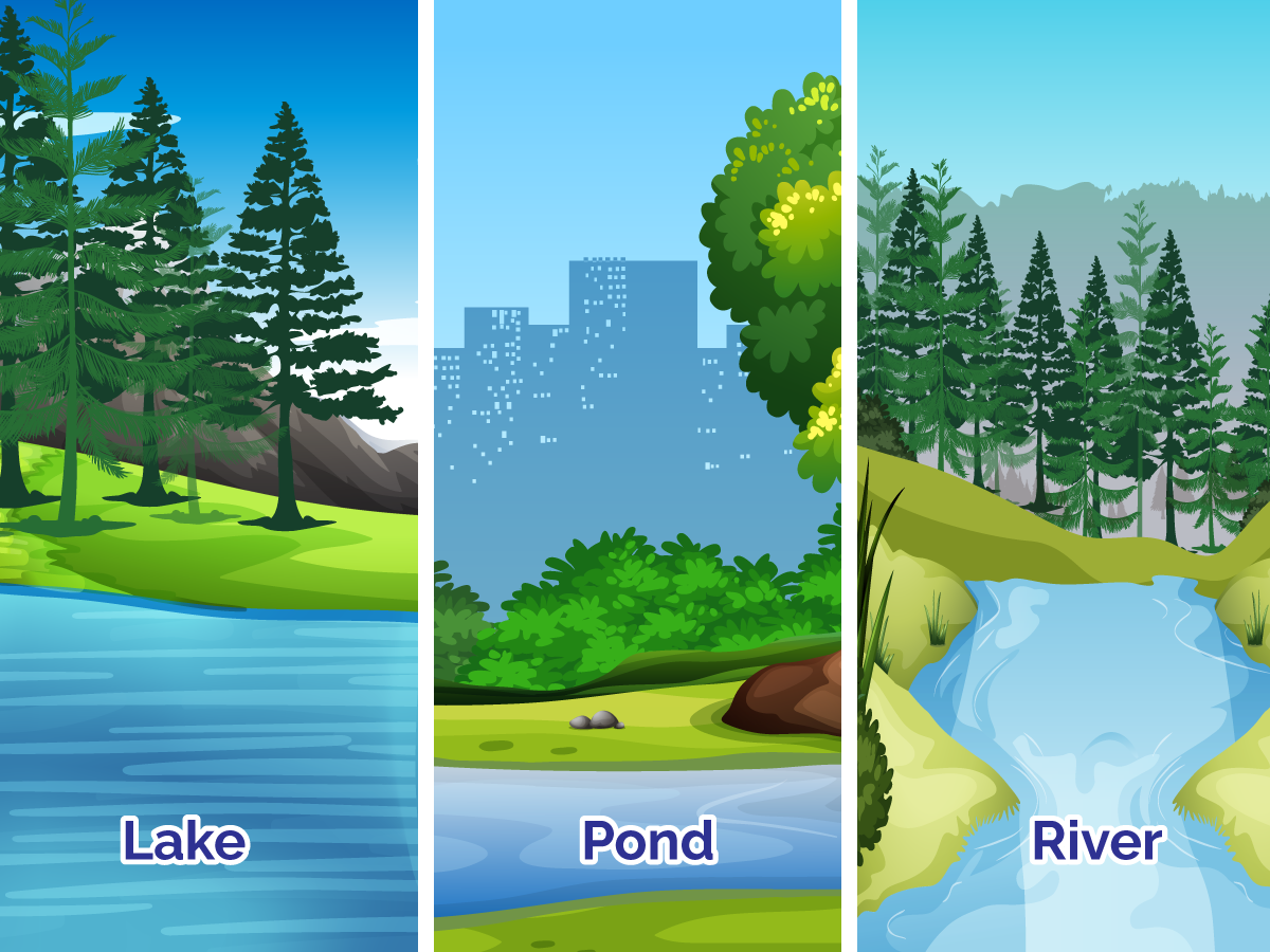 Graphic showing three images representing surface water.