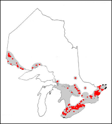 Range of the black crappie in Ontario