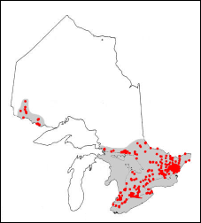 Range of the Bluegill in Ontario