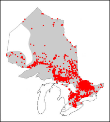Range of the Brook Trout in Ontario