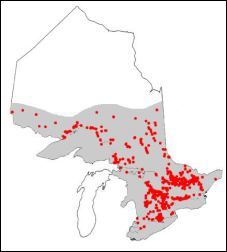Range of the inland brown trout in Ontario