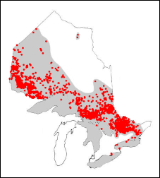 Range of lake trout in Ontario