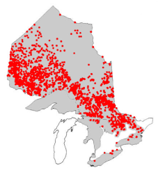 Range of the [lake-whitefish] in Ontario