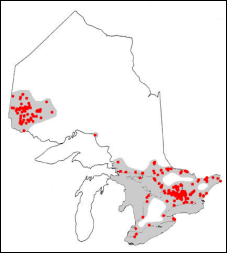 Range of the muskellunge in Ontario