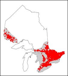 Range of the [pumpkinseed] in Ontario