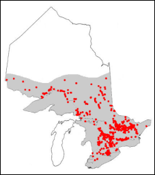 Aire de répartition de la truite arc-en-ciel des Grands Lacs en Ontario