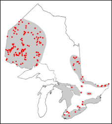 Range of the Sauger in Ontario