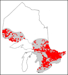 Range of the Smallmouth Bass in Ontario