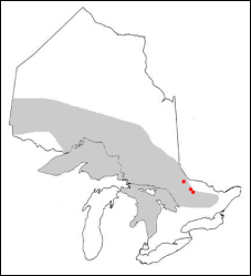 Range of the Splake in Ontario