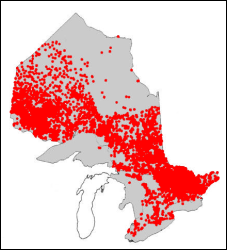 Range of the Yellow Perch in Ontario
