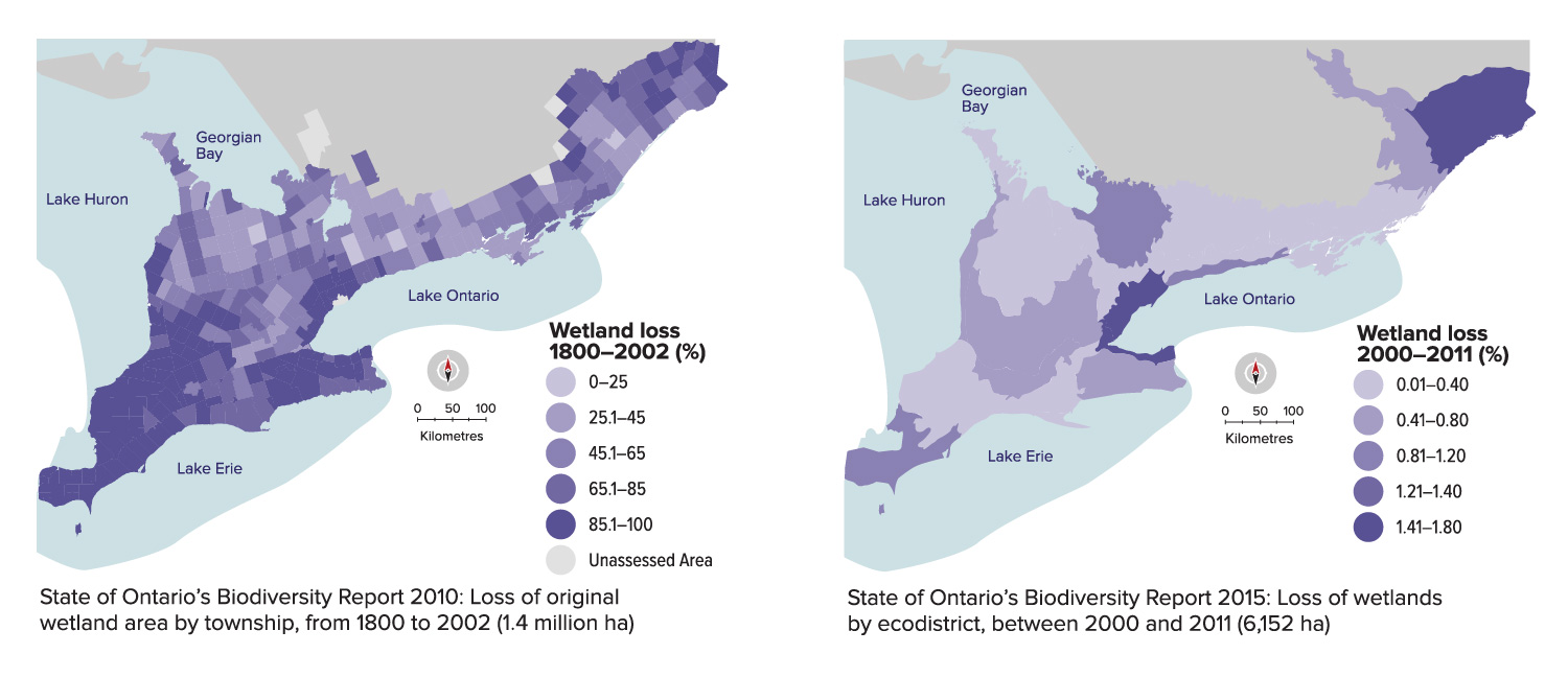 This figure includes two maps of the Mixedwood Plains Ecozone, south and east of the Ontario Shield. The first map show loss of original wetland area by township, from 1800 to 2002 (about 1.4 million ha). The second shows loss of wetlands by ecodistrict between 2000 and 2011 (about 6,152 ha)