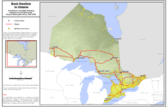 Map of bank swallow range