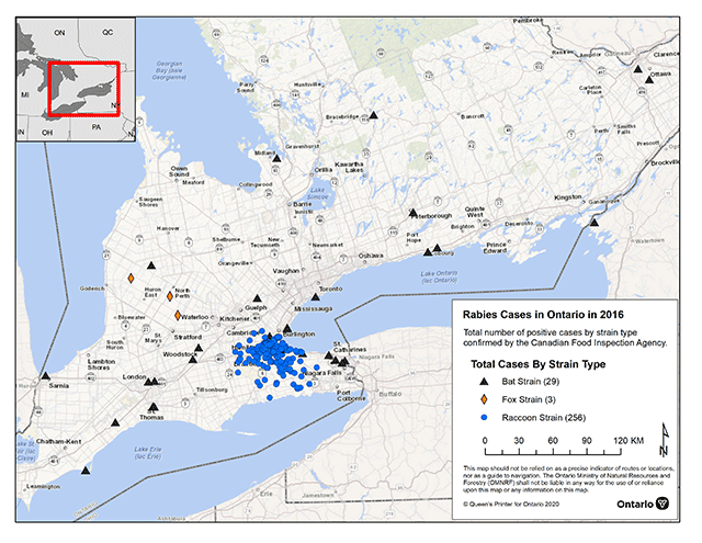 Rabies cases map 2016