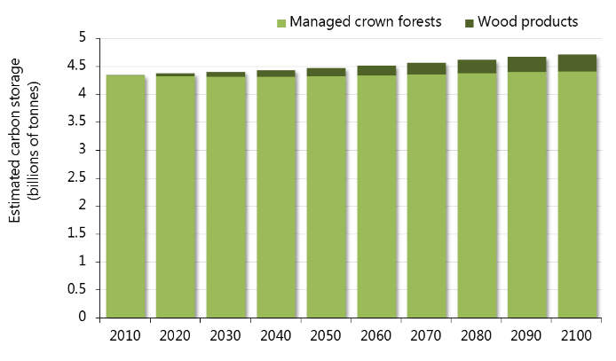 Chart showing projected carbon storage in forests and wood products from 2010 to 2100