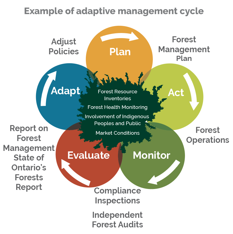 Example of adaptive management cycle