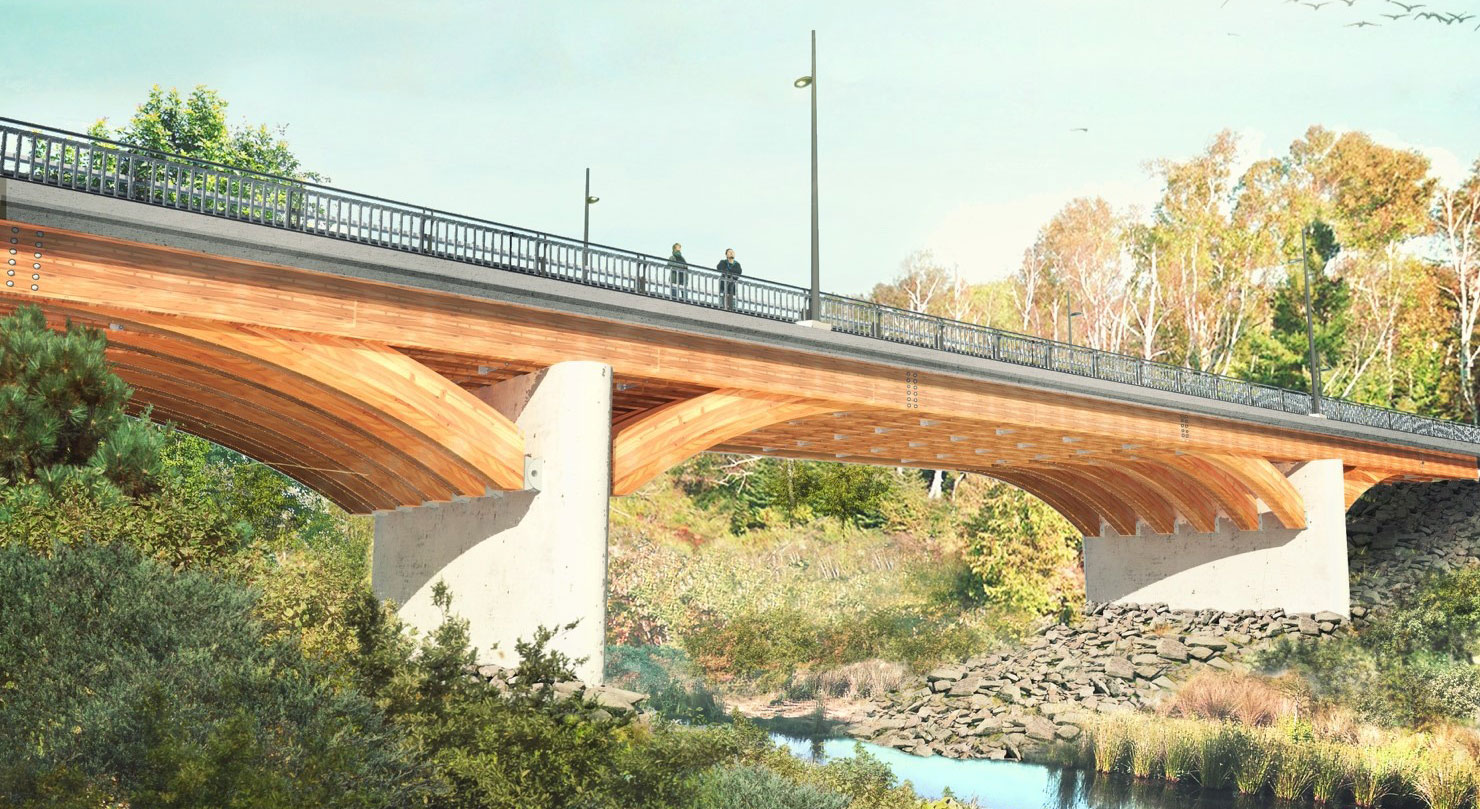 Two people standing on bridge surrounded by trees.