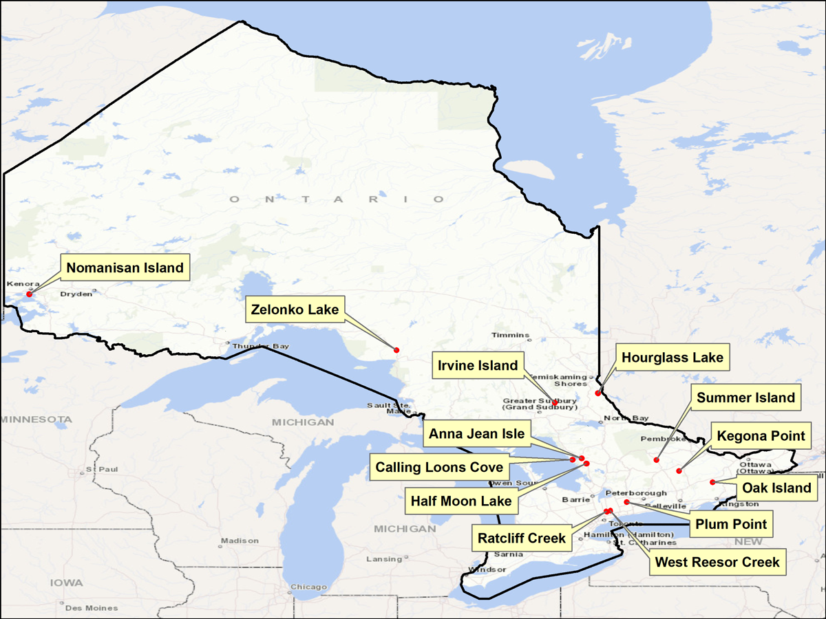 Une carte de la province de l'Ontario montrant les emplacements de treize noms géographiques proposés.