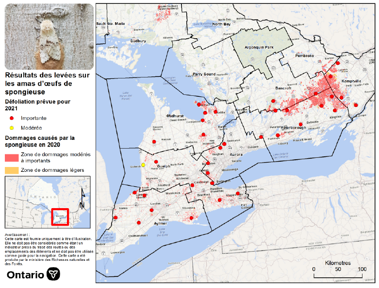 Carte du sud de l’Ontario illustrant les prévisions de défoliation pour 2021.