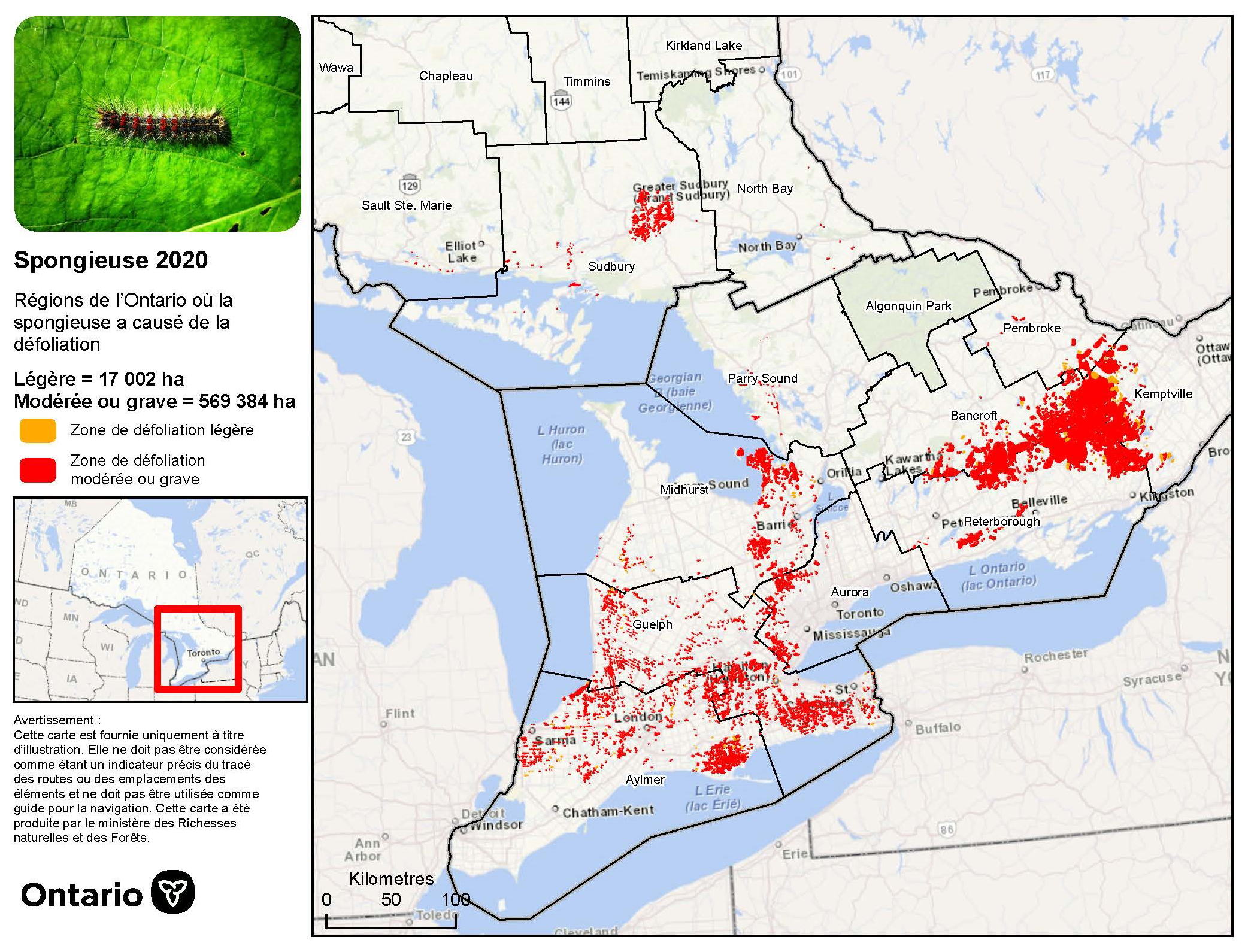 Carte du nord-est et du sud de l’Ontario illustrant les zones défoliées par la spongieuse au nord-ouest de Sudbury, le long de la rive nord du lac Huron ainsi que dans une grande partie du sud de l’Ontario.