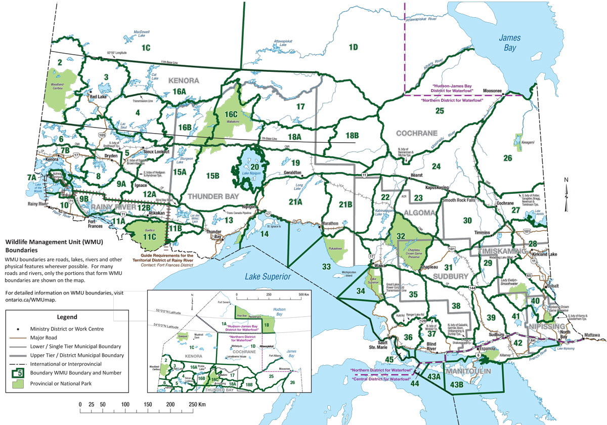 Ontario Wmu Map With Roads - Candis Virginie