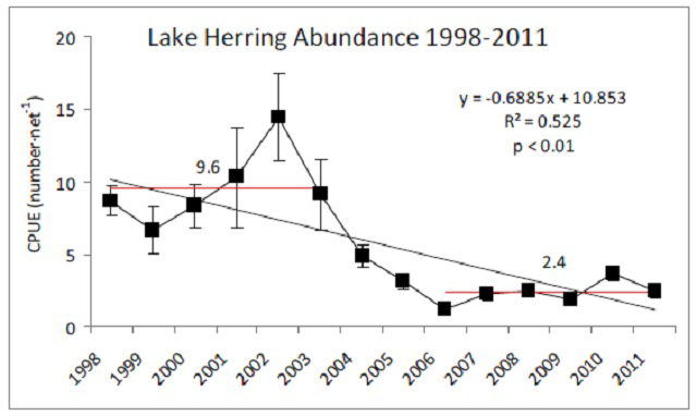 Graph showing abundance of lake herring in Lake Nipissing.