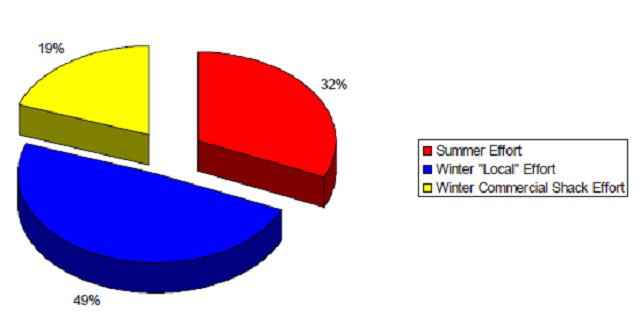 Pie chart showing allocation of effort