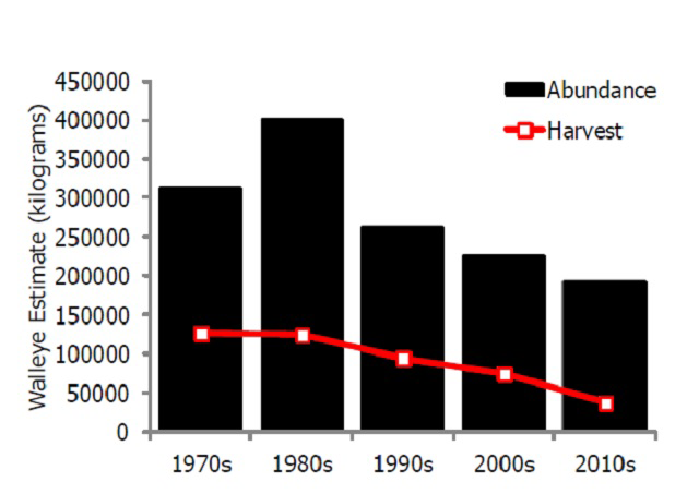 Bar graph showing Walleye harvest in a red dotted line and abundance with black bars.