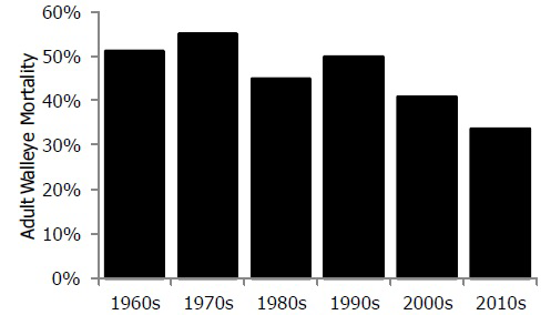 vertical black adn white bar graph of Adult walleye mortality since the 1960s.
