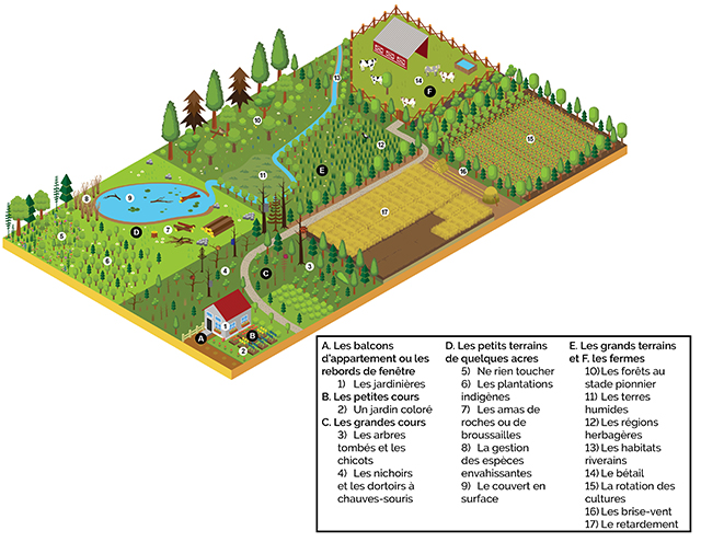 Illustration de la création de suggestions d'habitats fauniques possibles pour de petites zones pouvant être intégrées à des plans pour des propriétés plus grandes.