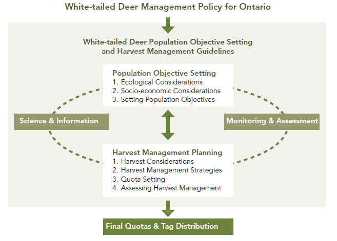 Figure 1 of the White-tailed Deer Management Policy for Ontario. Explanation of figure is above and below the image.