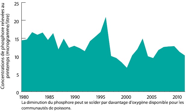 Ce graphique linéaire illustre le niveau de phosphore total relevé au printemps dans le lac Simcoe, en microgrammes par litre, pour les années 1980 à 2011. Le phosphore total relevé au printemps a diminué pendant la période, passant d’environ 15 microgrammes par litre au début des années 1980 à environ 10 microgrammes par litre en 2011. Le graphique montre également que le phosphore total relevé au printemps varie considérablement d’une année à l’autre.
