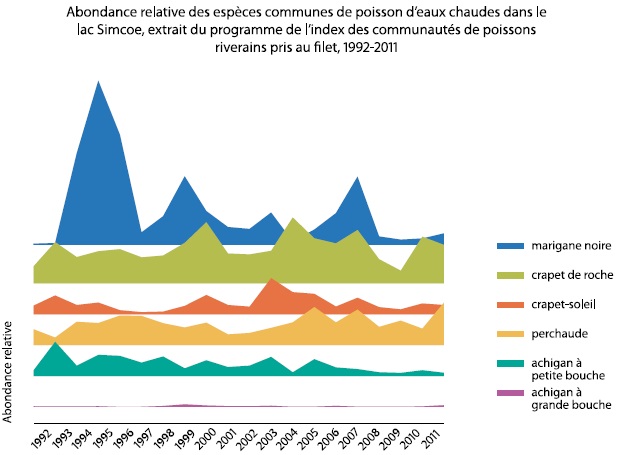Ce graphique montre l’abondance relative des espèces communes de poisson d’eaux chaudes dans le lac Simcoe, extrait du Programme de l’index des communautés de poissons riverains pris au filet entre 1992 et 2011. Les poissons identifiés sont le crapet de roche, la marigane noire, le crapet-soleil, la perchaude, l’achigan à petite bouche et l’achigan à grande bouche. Le graphique montre qu’avec le temps, les espèces envahissantes peuvent causer des changements dans l’abondance relative; cependant, aucune tendance claire n’est visible.