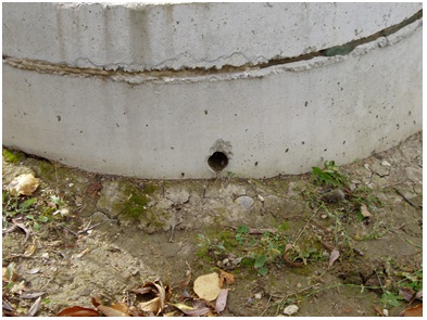 The centre of Figure 11-4 shows a 2 centimetre diameter hole that penetrates through the well casing of a dug well used for human consumption. The hole is located close to the ground surface. The ground surface is not properly sloped and can allow for ponding of surface water adjacent to the well. The hole provides a pathway for surface water and foreign materials such as insects, rodents and snakes to access the well and impair the quality of the well water.