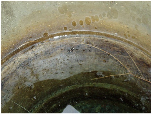 The dug well in this figure is used for human consumption. The dug well has concrete tile as casing. Below the water level, a tree root is extending from the right side of the photograph. The tree root has penetrated the casing joint (not shown). The tree root is an indicator that the well casing is not sealed. Thus, the unsealed concrete tile joints can permit foreign materials into the well that can impair the quality of the well water.